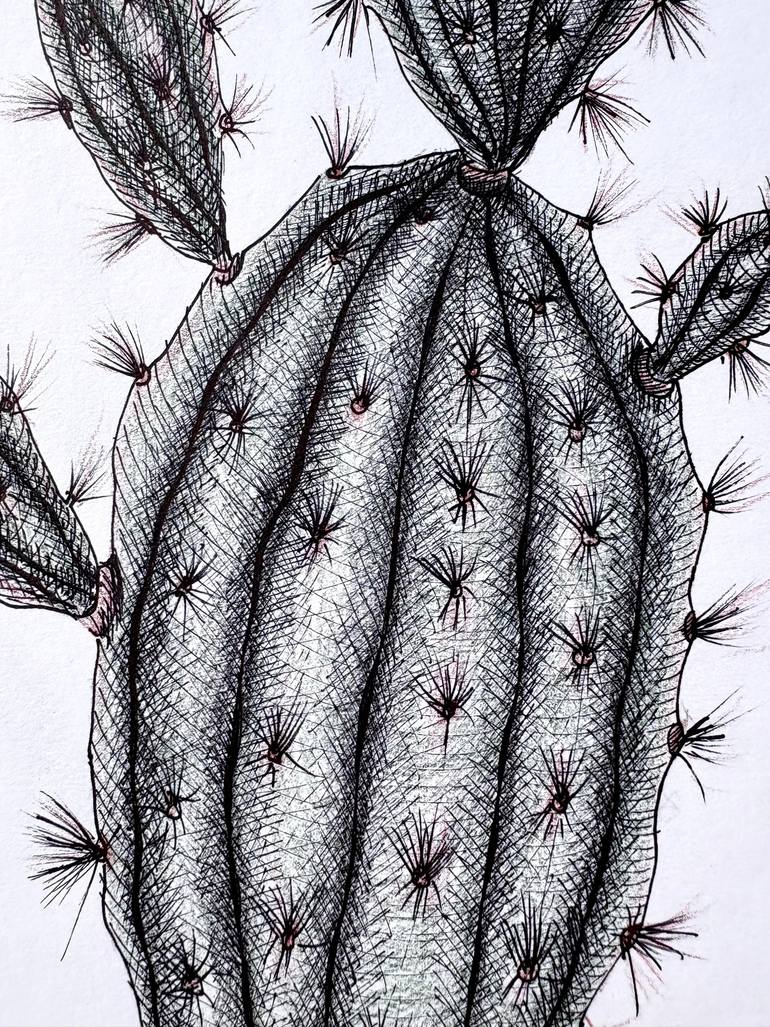 Original Illustration Botanic Drawing by Maria Tuzhilkina