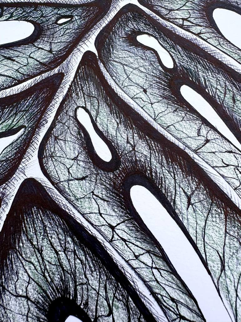 Original Illustration Botanic Drawing by Maria Tuzhilkina