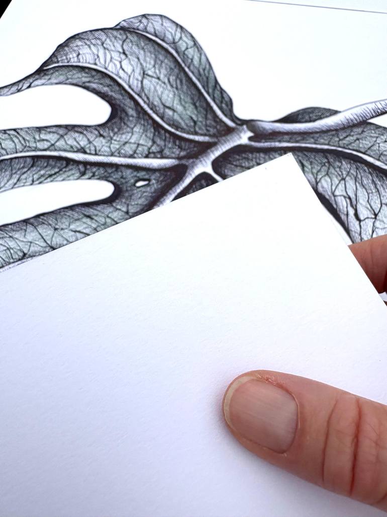 Original Illustration Botanic Drawing by Maria Tuzhilkina