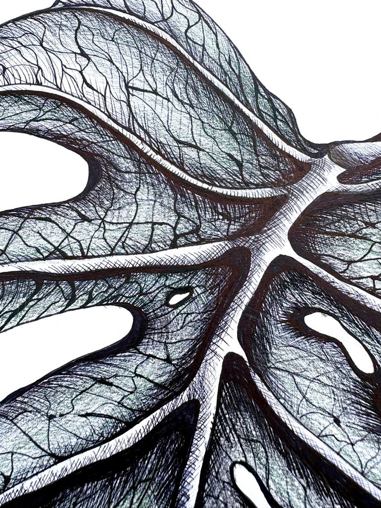 Original Illustration Botanic Drawing by Maria Tuzhilkina