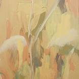 Light at Calderwood Rd by jessika steiner