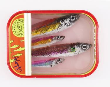 Tins of sardines thumb