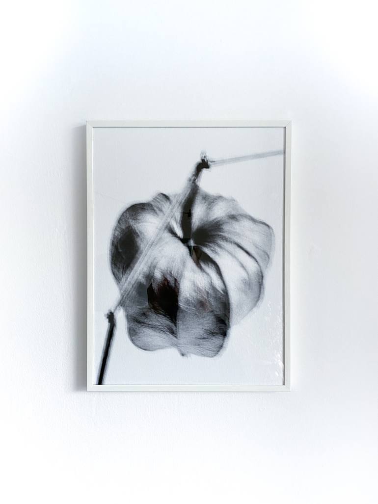 Original Conceptual Still Life Photography by Merette Uiterwaal