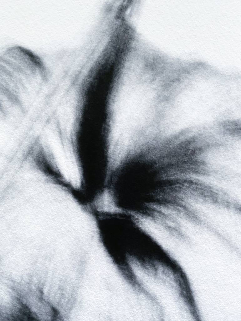 Original Conceptual Still Life Photography by Merette Uiterwaal