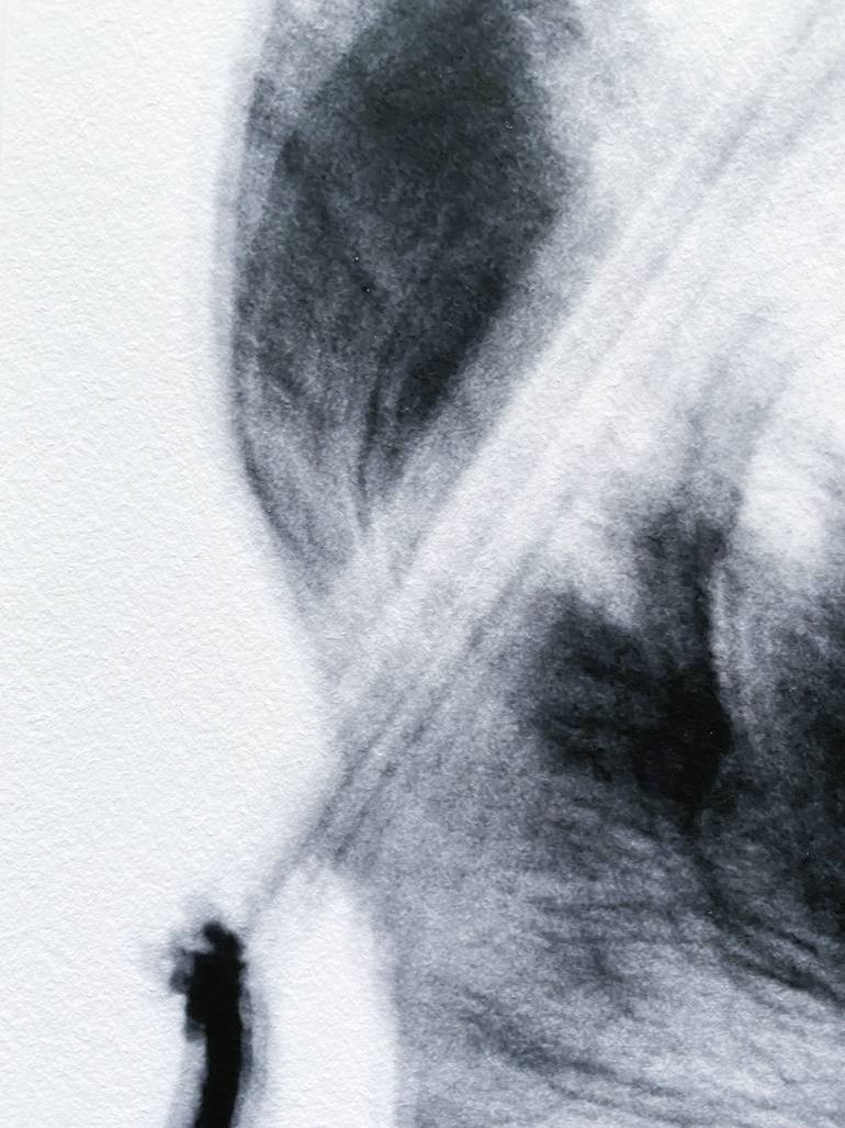Original Conceptual Still Life Photography by Merette Uiterwaal