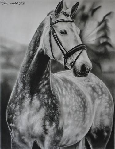 Original Photorealism Horse Drawings by Kakha Kakonashvili