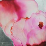 Petal Flora & Silver Lining by Aondrea Maynard