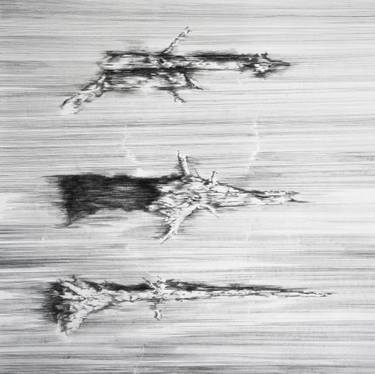 Original Abstract Nature Drawings by Hanna Banaszczyk