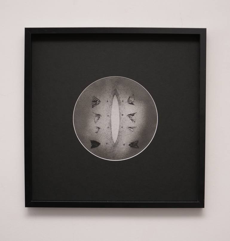 Original Black & White Abstract Drawing by Hanna Banaszczyk