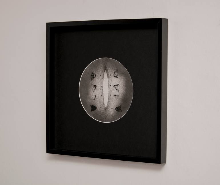 Original Black & White Abstract Drawing by Hanna Banaszczyk