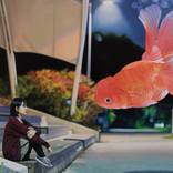 Collection 2026 Art Market Trends: Dream Logic