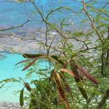 kaiula, hawaii by ritter northup