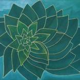 The Crassulaceae by Aida La Sarajevan