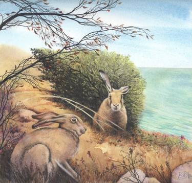 Original Illustration Animal Paintings by Helen Lush
