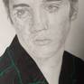 Elvis portrait is amazing, don`t miss it