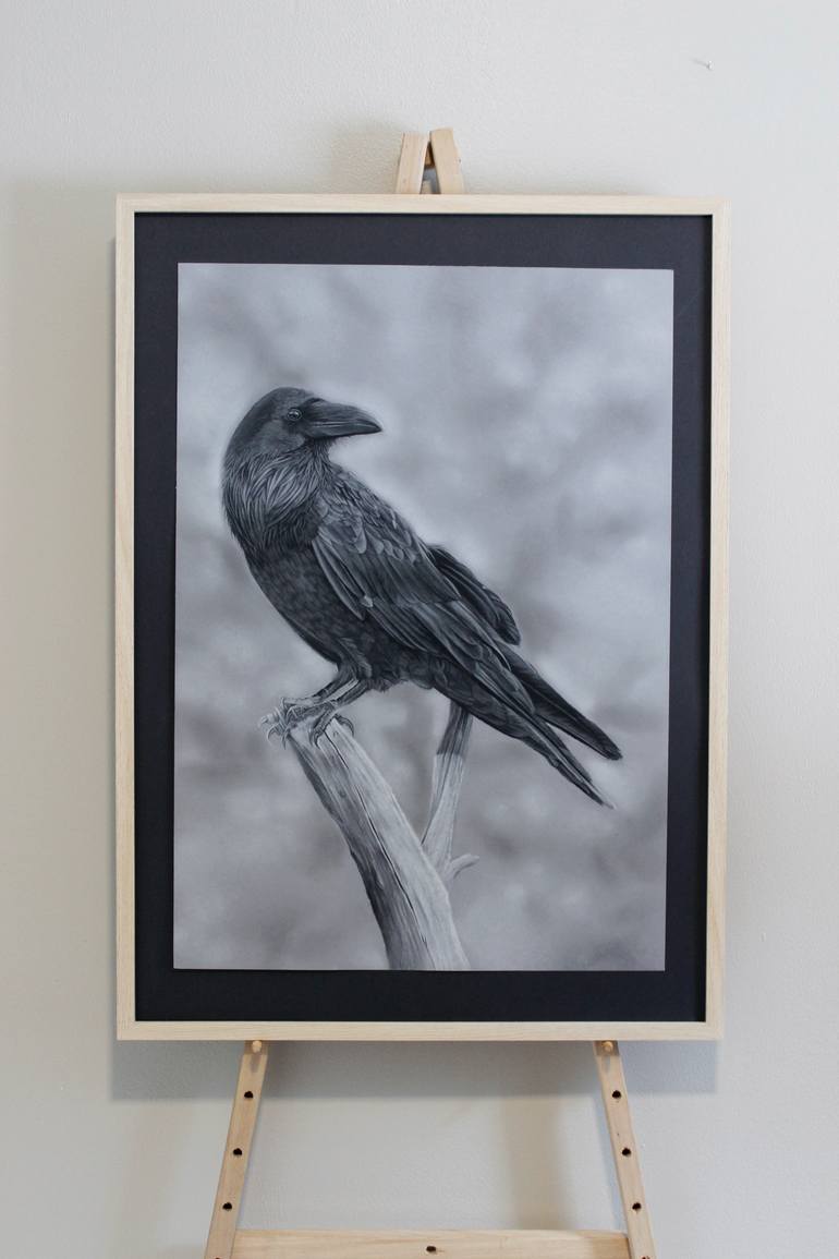 Original Photorealism Animal Drawing by Jasmin Ahokas