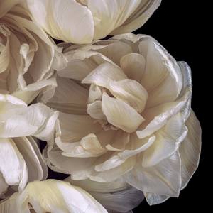 Enchanting Beauty, Limited Edition Flower Art Print 12/25