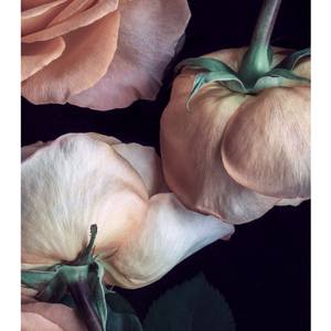 Scent of a Rose, Limited Edition Flower Art Print 12/25