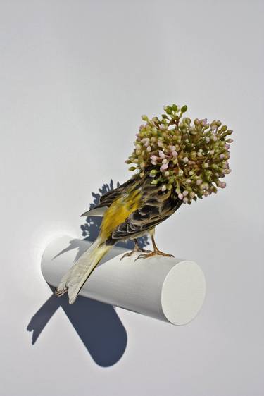 Original Surrealism Animal Sculpture by Karley Feaver