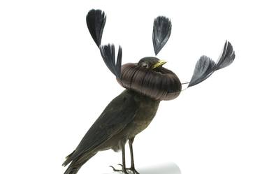 Original Surrealism Animal Sculpture by Karley Feaver