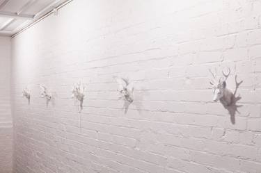 Installation Shot (Winterland) thumb