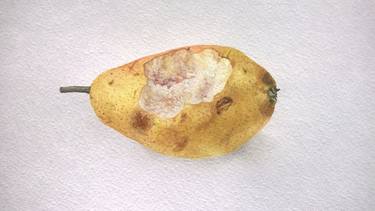 Pear thumb
