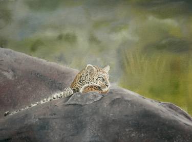 Original Animal Paintings by Clive Golanski