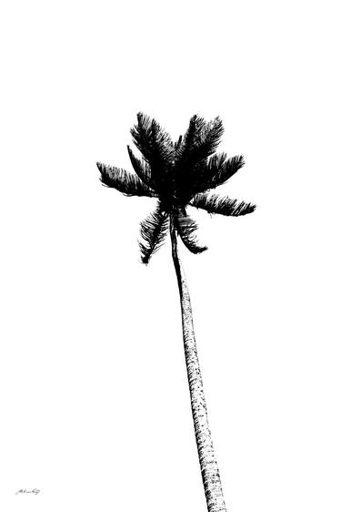 Minimalist coconut tree thumb