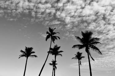 Coconut trees at dusk (BW) thumb