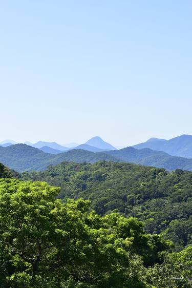 Mountains and forest thumb