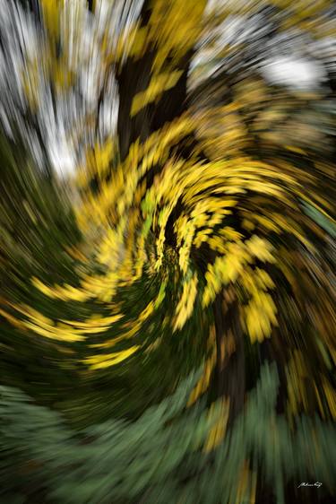 Original Fine Art Abstract Photography by Martiniano Ferraz