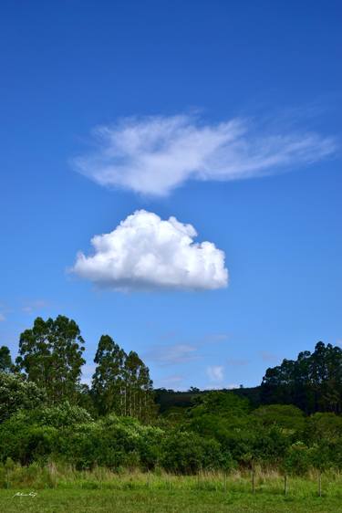 Print of Documentary Nature Photography by Martiniano Ferraz