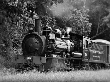 Original Train Photography by Martiniano Ferraz
