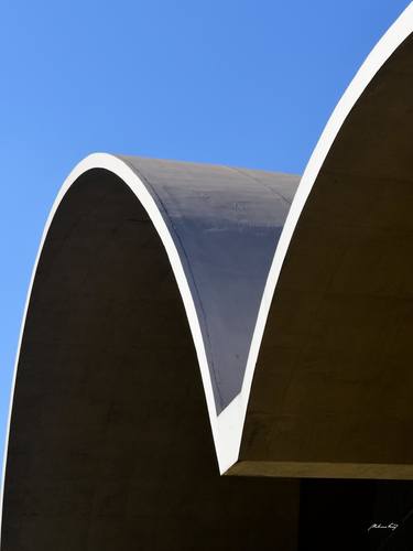 Niemeyer curves thumb