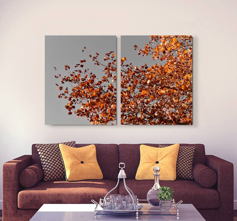 Original Contemporary Nature Photography by Martiniano Ferraz