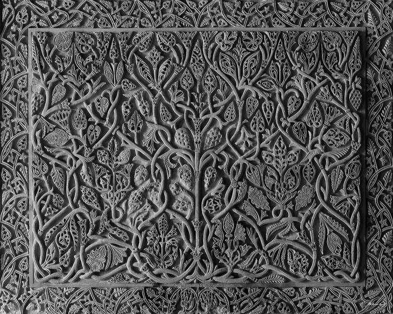 Original Architecture Photography by Martiniano Ferraz | Black & White Art on Canvas | The tree of life (BW)