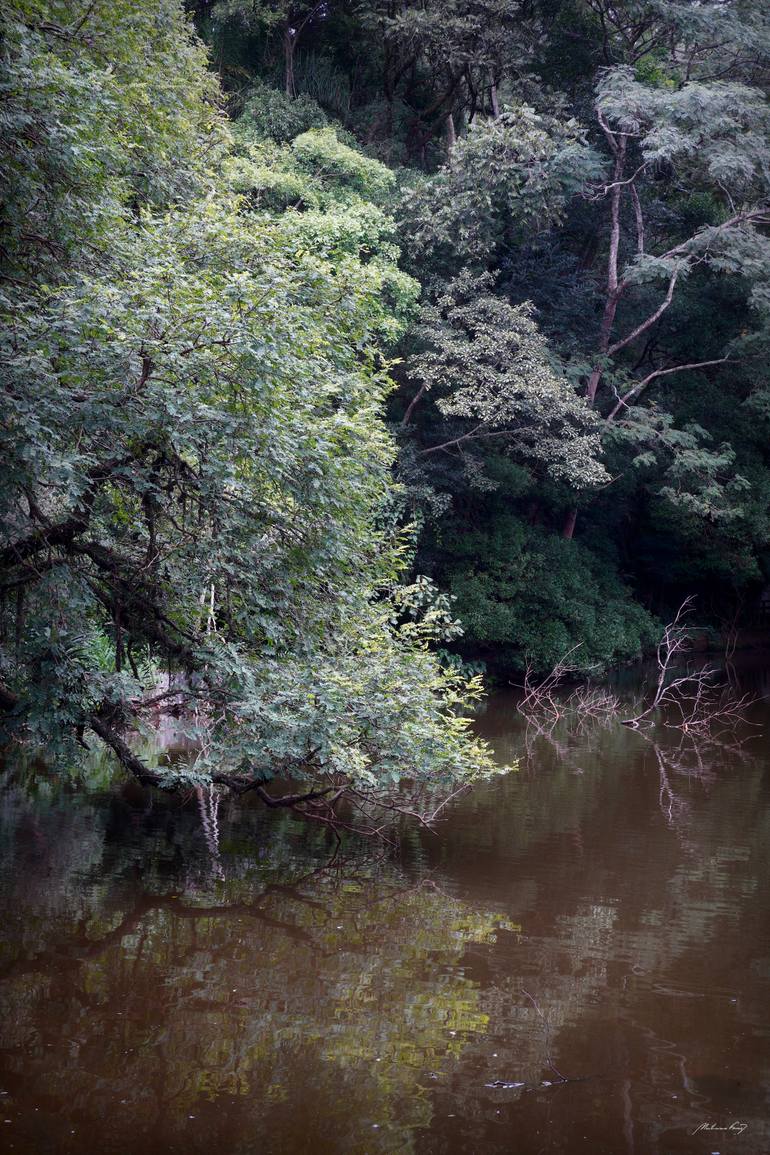 Original  Photography by martiniano ferraz