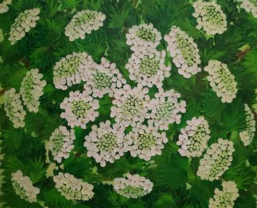 Original Abstract Floral Paintings by Svetlana Tatjanko