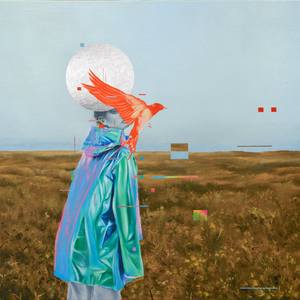 Collection The Dreamers