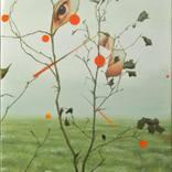 Collection Best of Landscapes