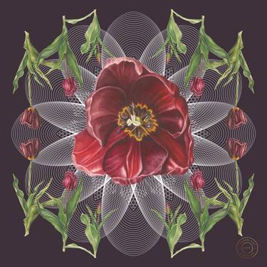 Original Fine Art Botanic Digital by Adrienne Kerr