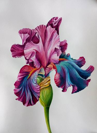 Iris with blue petals thumb