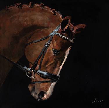 Original Horse Paintings by Peter Justl