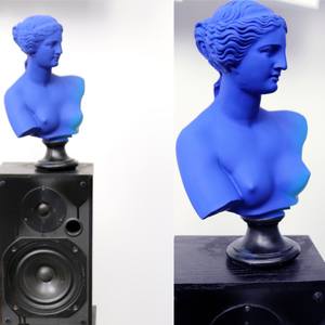SEMIOTICS (SAMPLED VENUS)