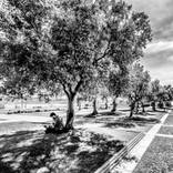 Lisbon #1 by Giuliano Iunco