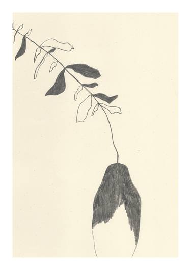 Original Botanic Drawings by Lera Kopeleva