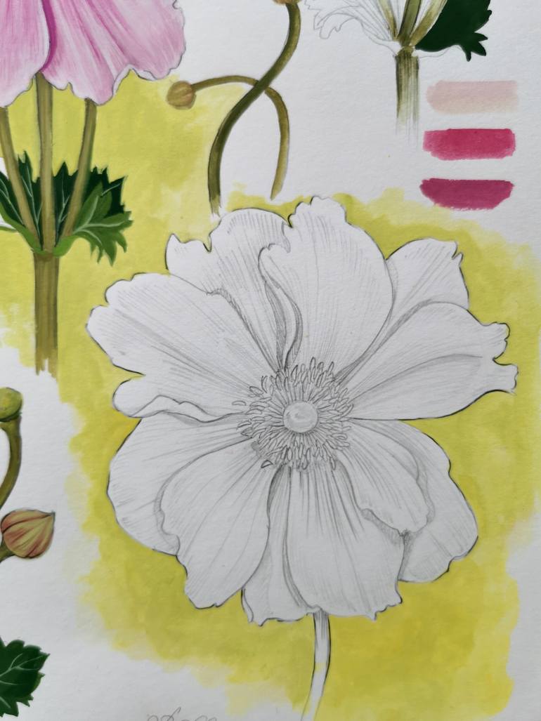 Original Illustration Botanic Drawing by Weronika Anna Rosa