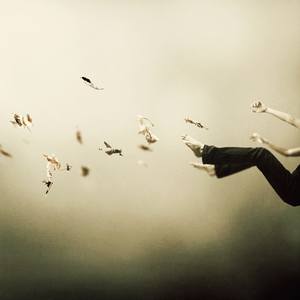 Collection Artist: Martin Stranka