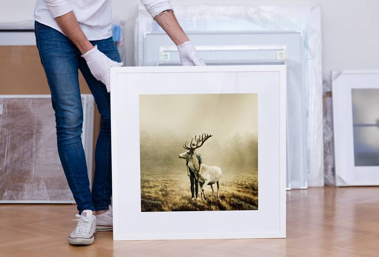 Original Conceptual Animal Photography by Martin Stranka