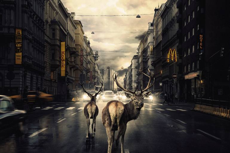 View in a Room Artwork